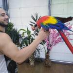 Изложба на папагали и пеперуди