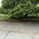 Детска площадка