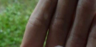 Буря в Попово