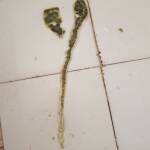 Сок с мухъл