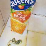 Сок с мухъл