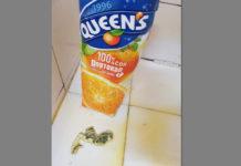 Сок с мухъл