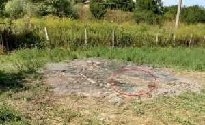 Снимка: Искра.бг