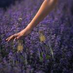 Еньовден е! Илюстративна снимка: Пиксабей