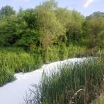 Река Струма