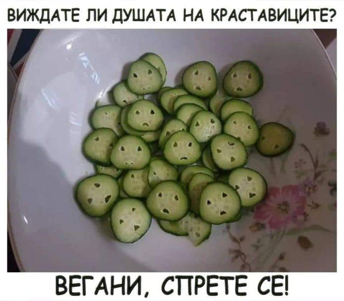 Душата на краставиците