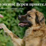 Сдружение "Верен приятел"