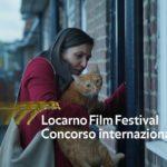 Котка в стената. Снимка: Фейсбук