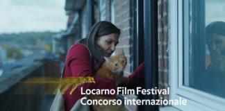 Котка в стената. Снимка: Фейсбук