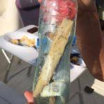 Писмо в бутилка. Снимка: Фейсбук