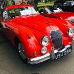 88ED3F95 206C 4976 B24A A0ABA239669C