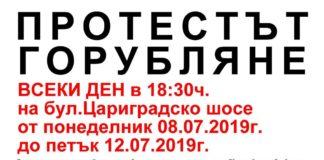 Протест Горубляне