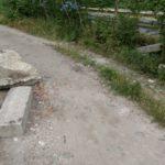 Снимка: ОЗБГ