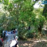 IMG 20190717 114933124 HDR