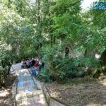 IMG 20190717 125257347 HDR