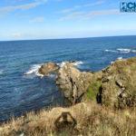 IMG 20190724 174806461 HDR