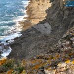 IMG 20190724 180412091 HDR