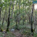 IMG 20190724 181915032 HDR