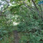 IMG 20190724 182151099 HDR