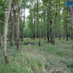 IMG 20190724 193726559 HDR