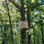 IMG 20190728 095916254 HDR