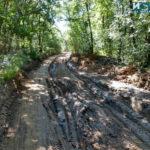 IMG 20190728 101048924 HDR