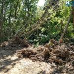 IMG 20190728 102442745 HDR