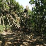 IMG 20190728 102517121