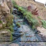 IMG 20190730 070848857 HDR