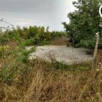 IMG 20190730 072321314 HDR