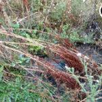 IMG 20190730 072850260 HDR