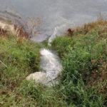 IMG 20190730 073149245