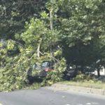 Катастрофа