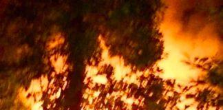 Палеж на автомобил