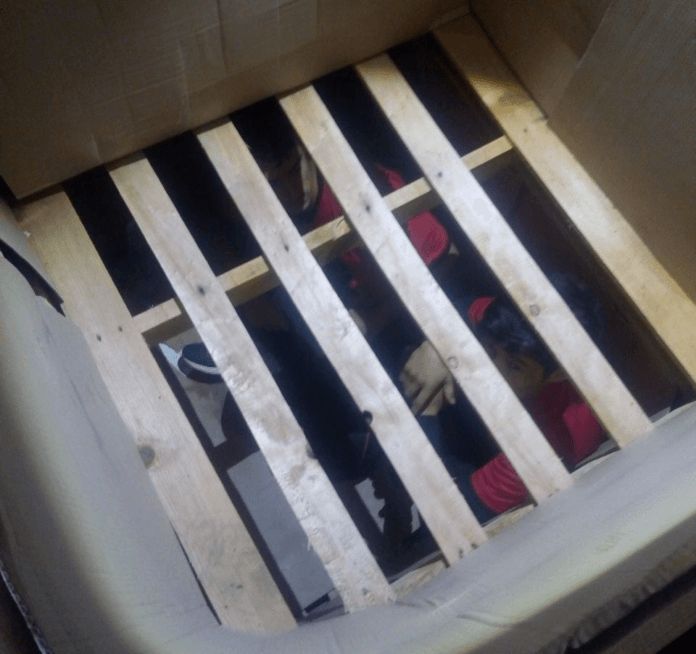 Мигранти ГКПП "Кулата"