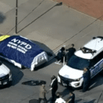 Починали близнаци, Ню Йорк