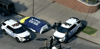 Починали близнаци, Ню Йорк