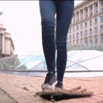 Разбити павета