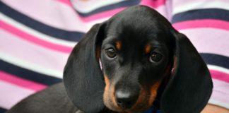 Илюстративна снимка: Пиксабей