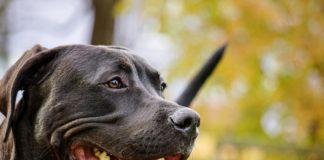 Илюстративна снимка: Пиксабей