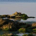 Дуранкулак