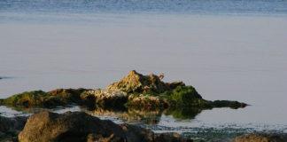 Дуранкулак