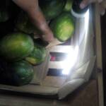 Мигранти ГКПП "Кулата"