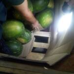 Мигранти ГКПП "Кулата"