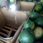 Мигранти ГКПП "Кулата"