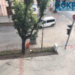 Унищожена градинка