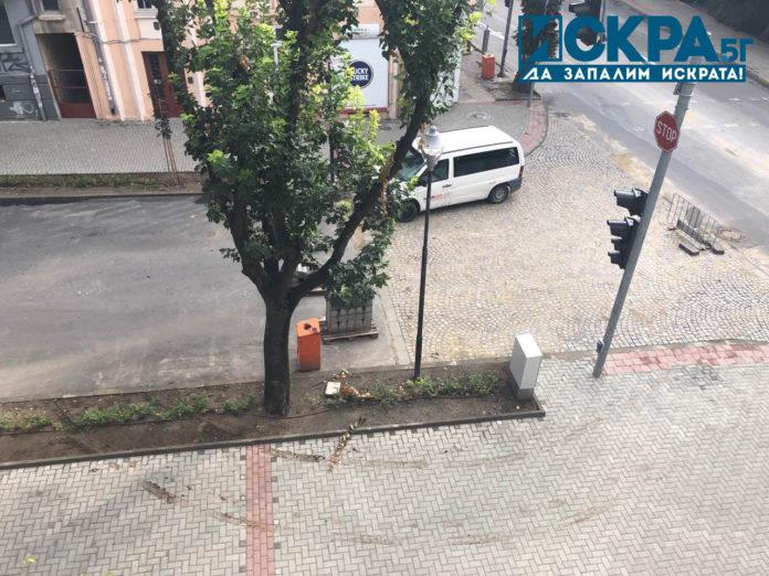 Унищожена градинка