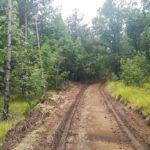 Снимка: Нели Дончева