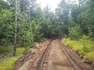 Снимка: Нели Дончева