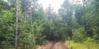 Снимка: Нели Дончева